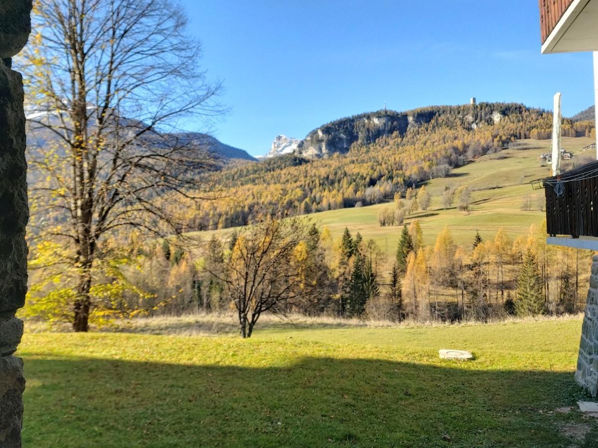 Appartamento Stella Alpina Cortina dʼAmpezzo Zewnętrze zdjęcie