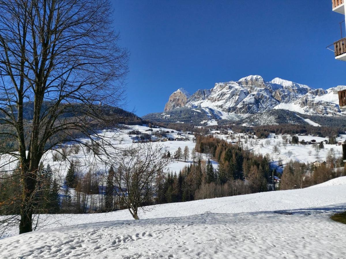 Appartamento Stella Alpina Cortina dʼAmpezzo Zewnętrze zdjęcie